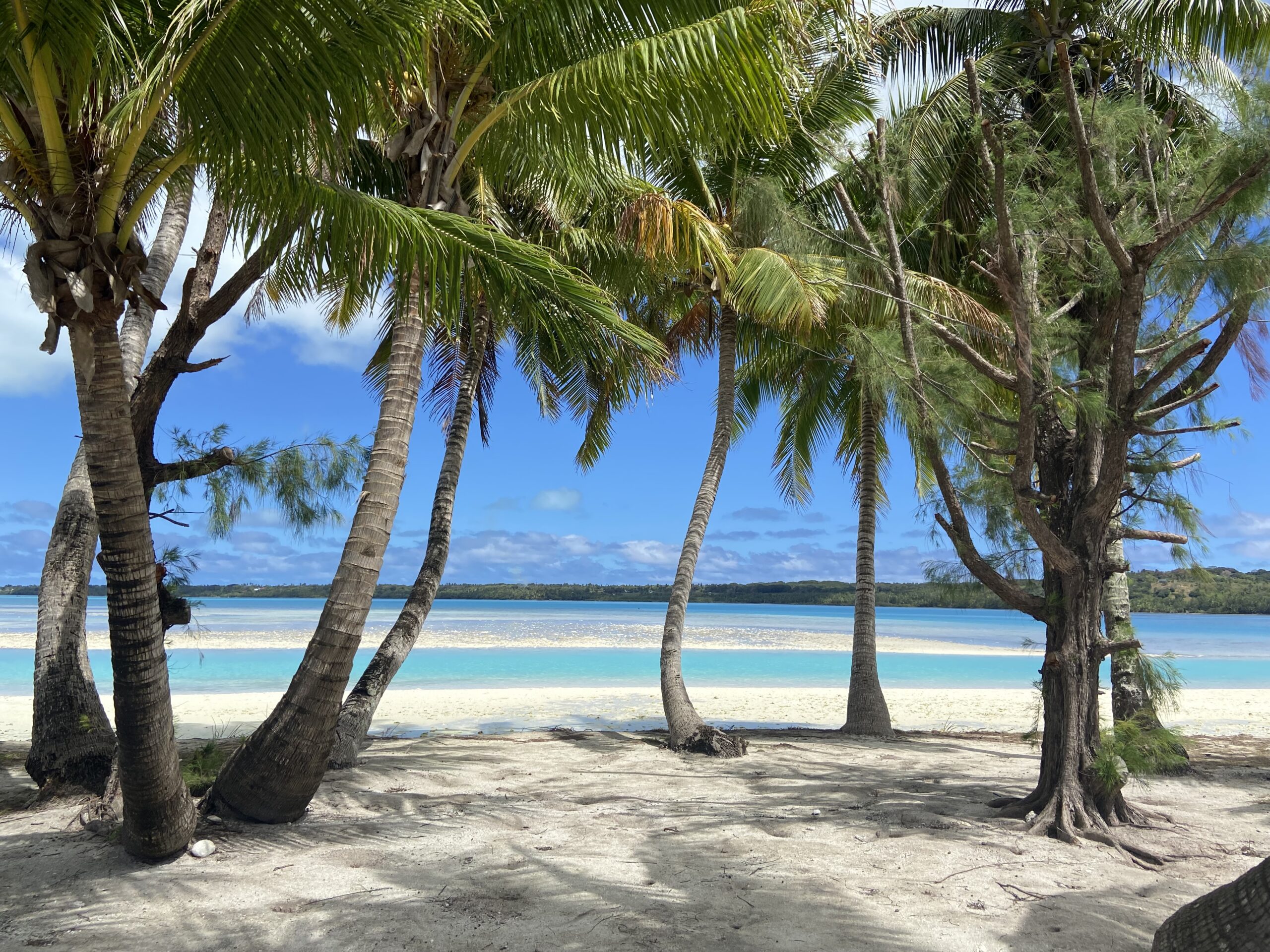 Read more about the article Rarotonga & Aitutaki (Cook Islands) Blog
