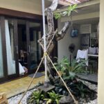 Our hosts handy work