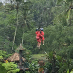 The zip line