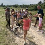Goat walk - Parrotdise organic farm