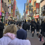 Japan with Kids: The Complete Honest Family Guide
