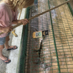 Langkawi kids review: Langkawi from a 9-year old’s view