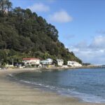 Wellington with Kids: The Family Guide to New Zealand’s Capital