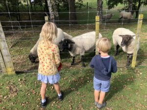 Lilliput Farm, Taupo