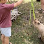 Living in Hua Hin v.2.0: Capybara, dodgy animal farms & family meetups